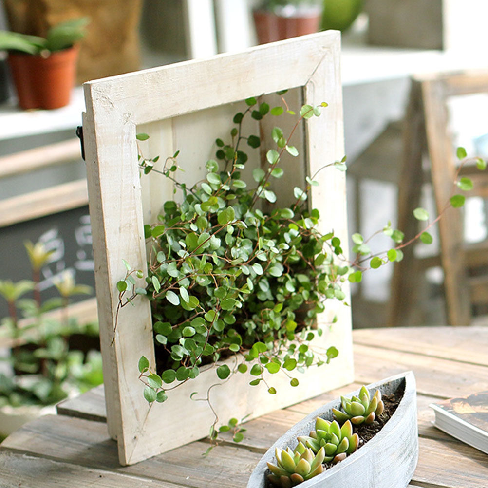 1Pcs Eco Friendly Wooden Flowe - огляд і ціна Home Office With Plants