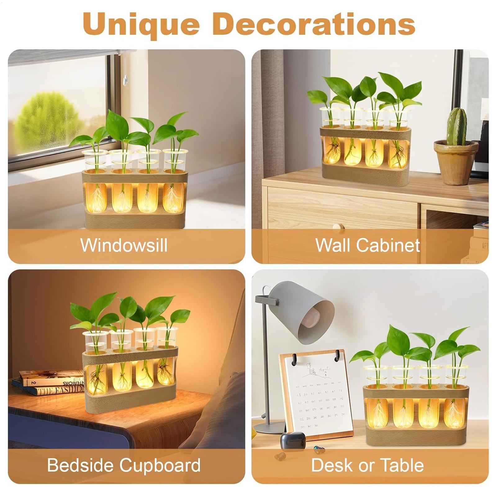 LED Plant Propagation Station  - огляд і ціна Home Office With Plants