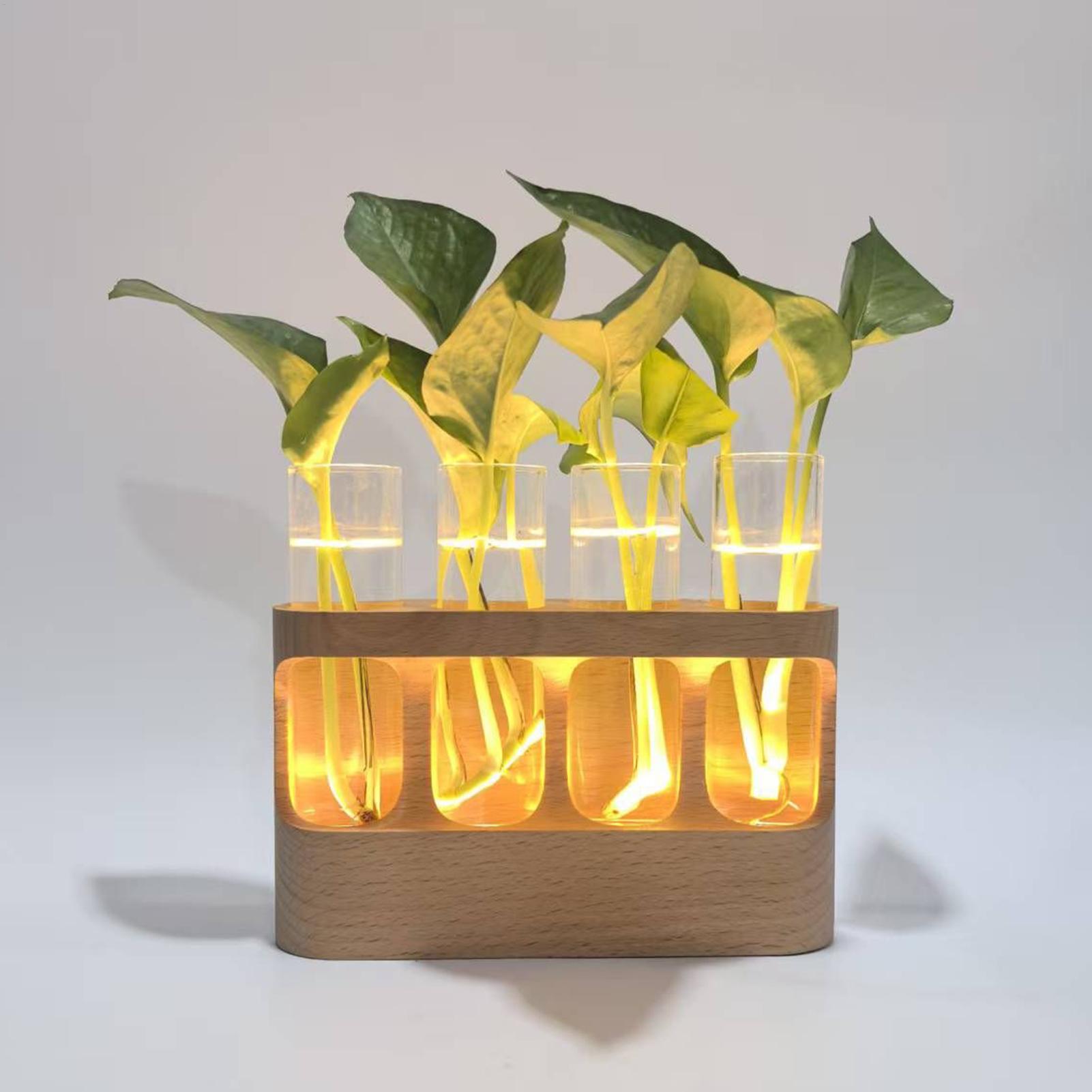 LED Plant Propagation Station  - огляд і ціна Home Office With Plants