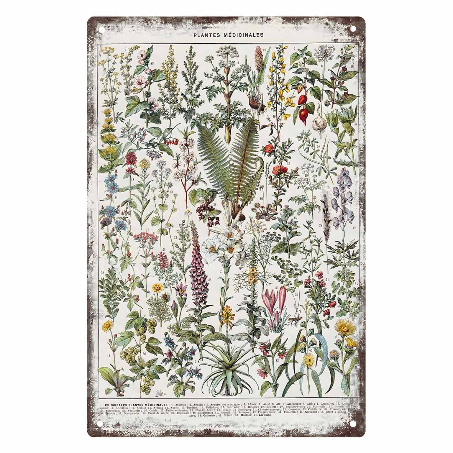 2D FLAT 1pc Vintage Medicinal  - огляд і ціна Home Office With Plants
