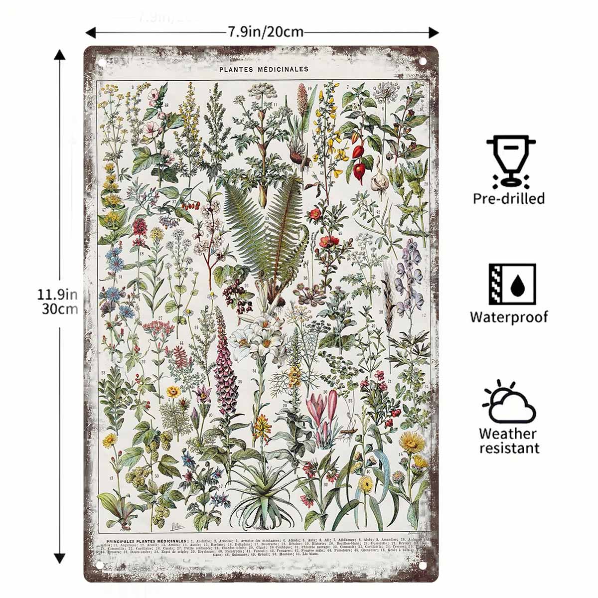 2D FLAT 1pc Vintage Medicinal  - огляд і ціна Home Office With Plants