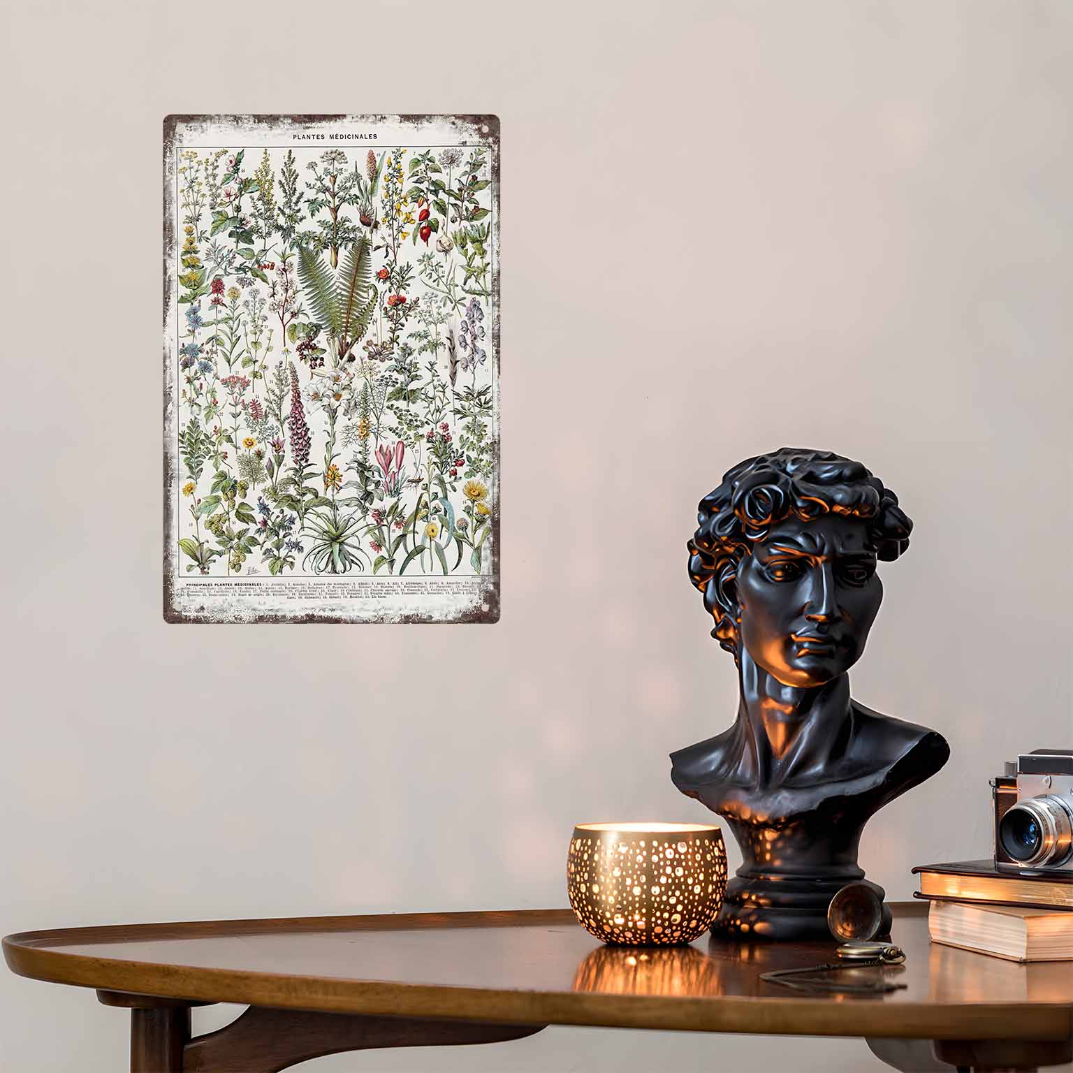 2D FLAT 1pc Vintage Medicinal  - огляд і ціна Home Office With Plants