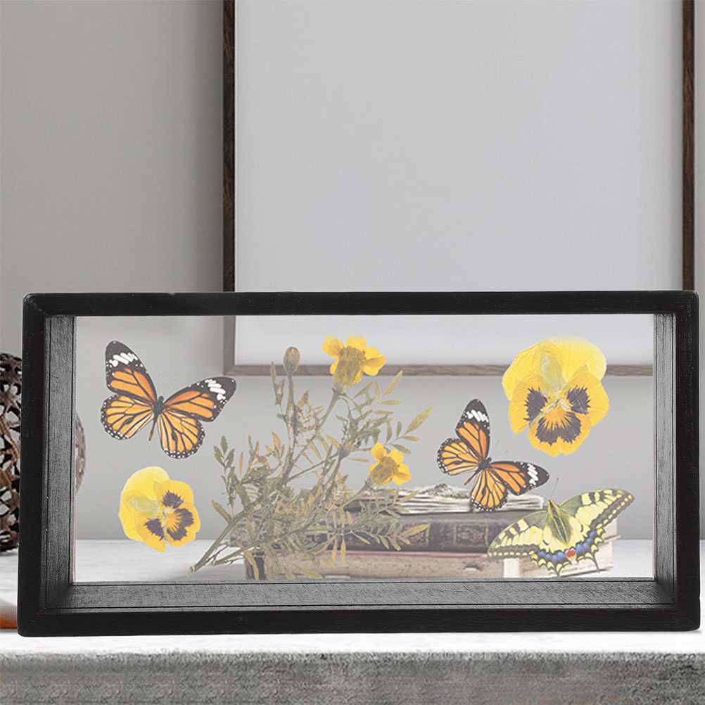 2Pcs Clear Acrylic Pressed Flo - огляд і ціна Home Office With Plants
