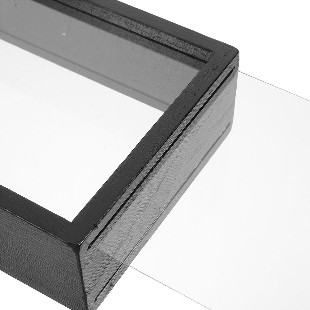 2Pcs Clear Acrylic Pressed Flo - огляд і ціна Home Office With Plants