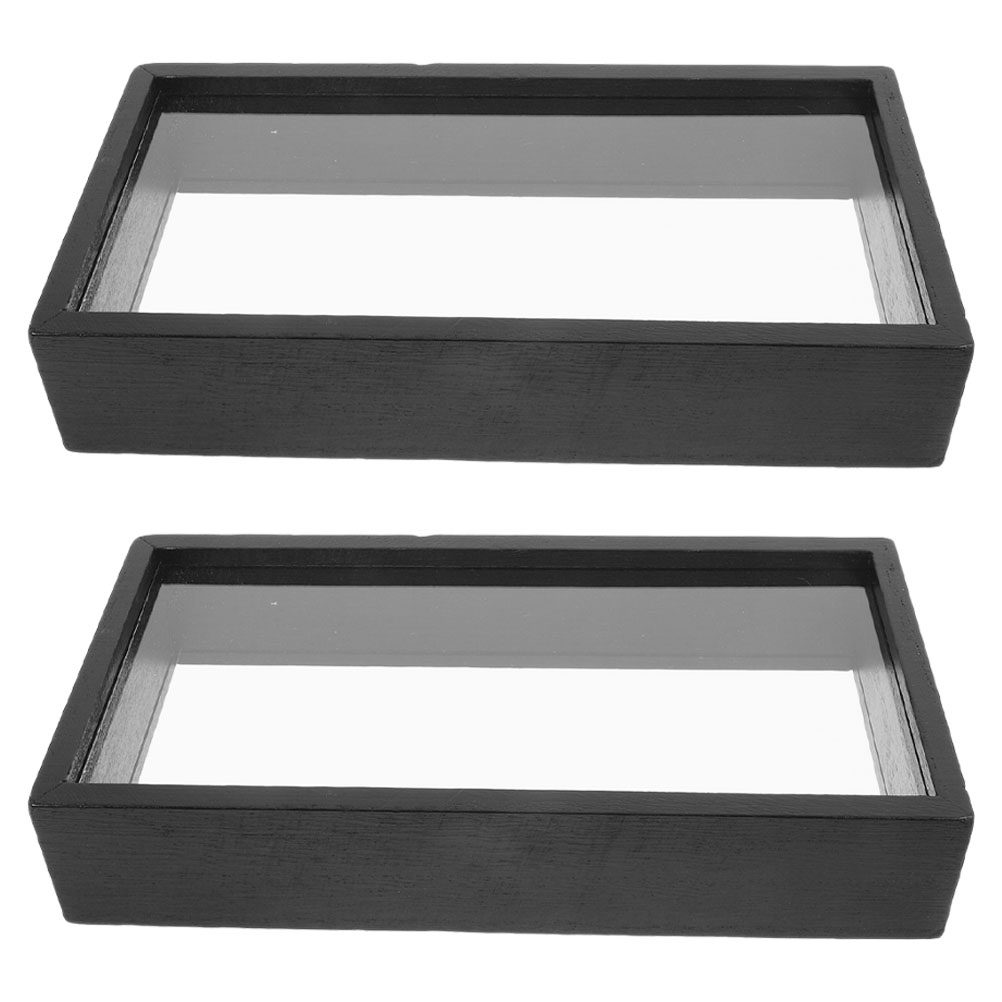 2Pcs Clear Acrylic Pressed Flo - огляд і ціна Home Office With Plants