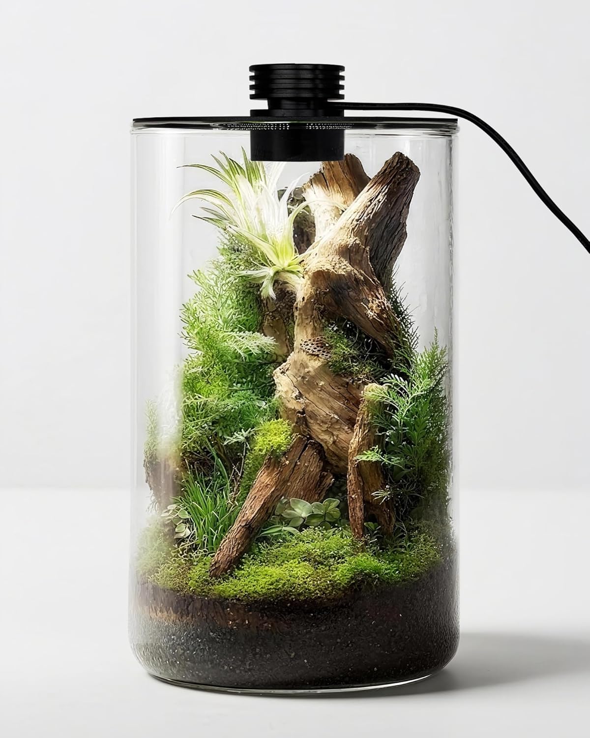 Indoor Glass Terrarium with Gr - огляд і ціна Home Office With Plants