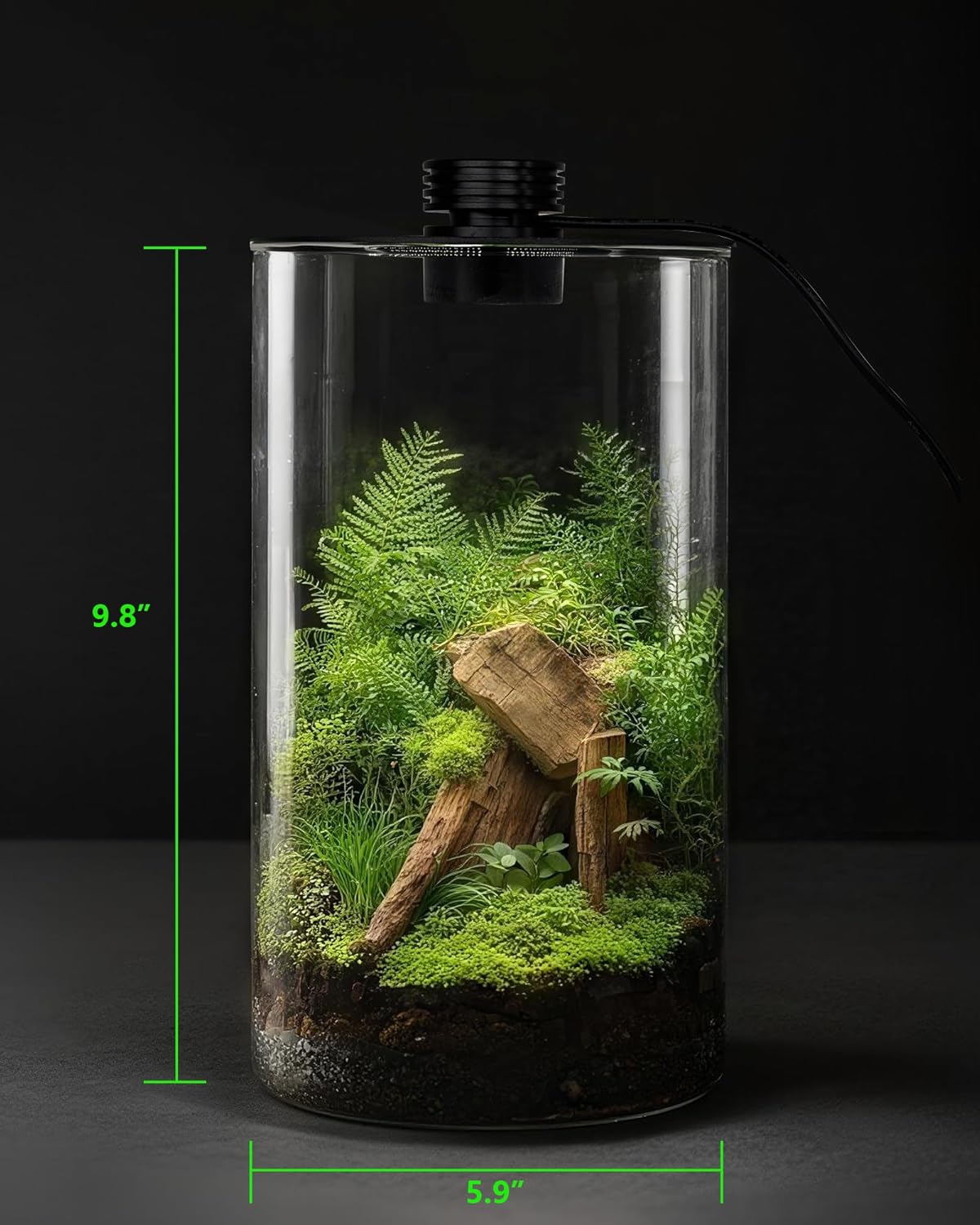Indoor Glass Terrarium with Gr - огляд і ціна Home Office With Plants