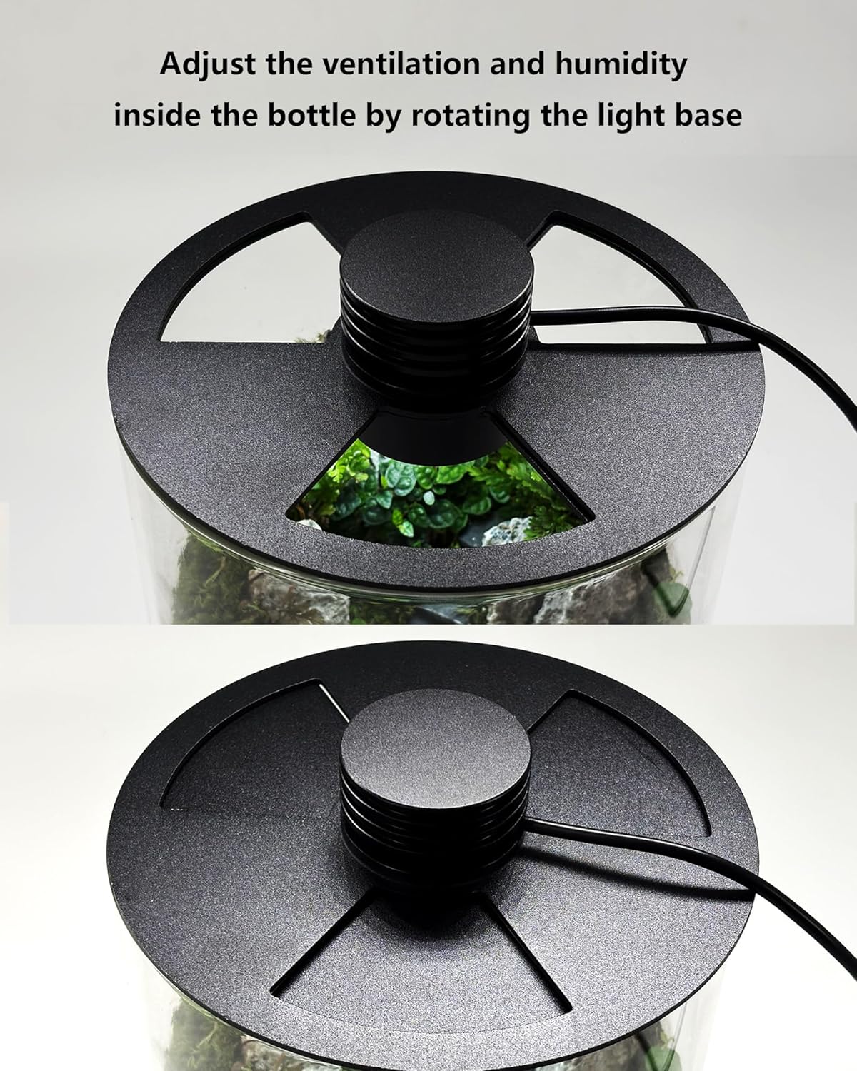 Indoor Glass Terrarium with Gr - огляд і ціна Home Office With Plants