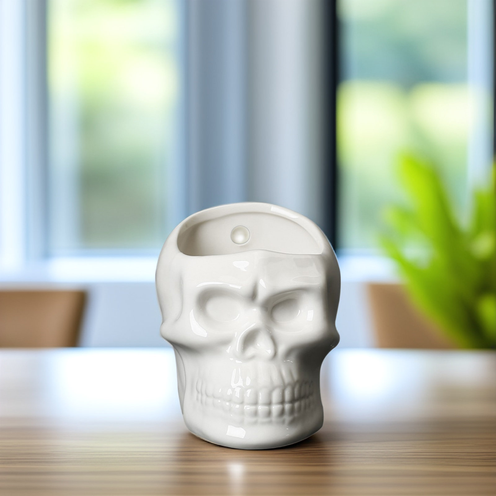 1Pcs Skull Succulent Vase Skul - огляд і ціна Home Office With Plants