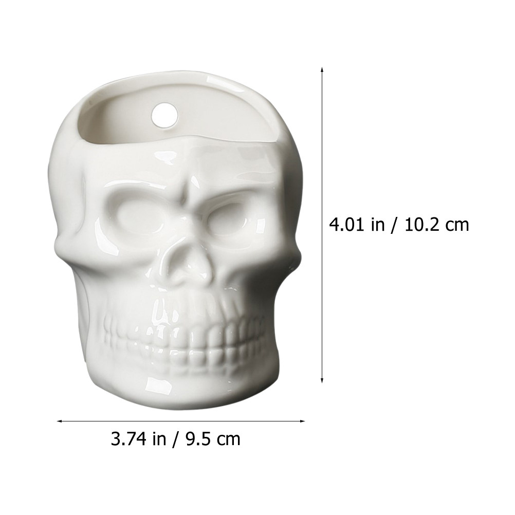 1Pcs Skull Succulent Vase Skul - огляд і ціна Home Office With Plants