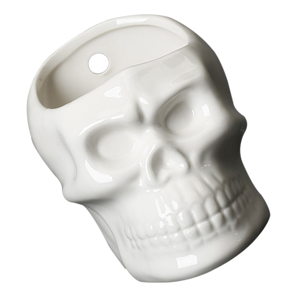 1Pcs Skull Succulent Vase Skul - огляд і ціна Home Office With Plants