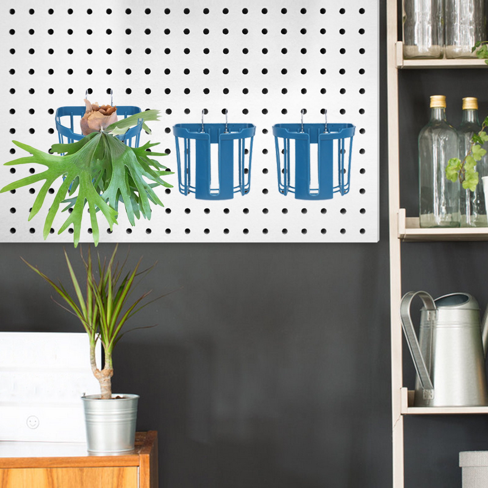 4Pcs Wall Mounted Fern Planter - огляд і ціна Home Office With Plants